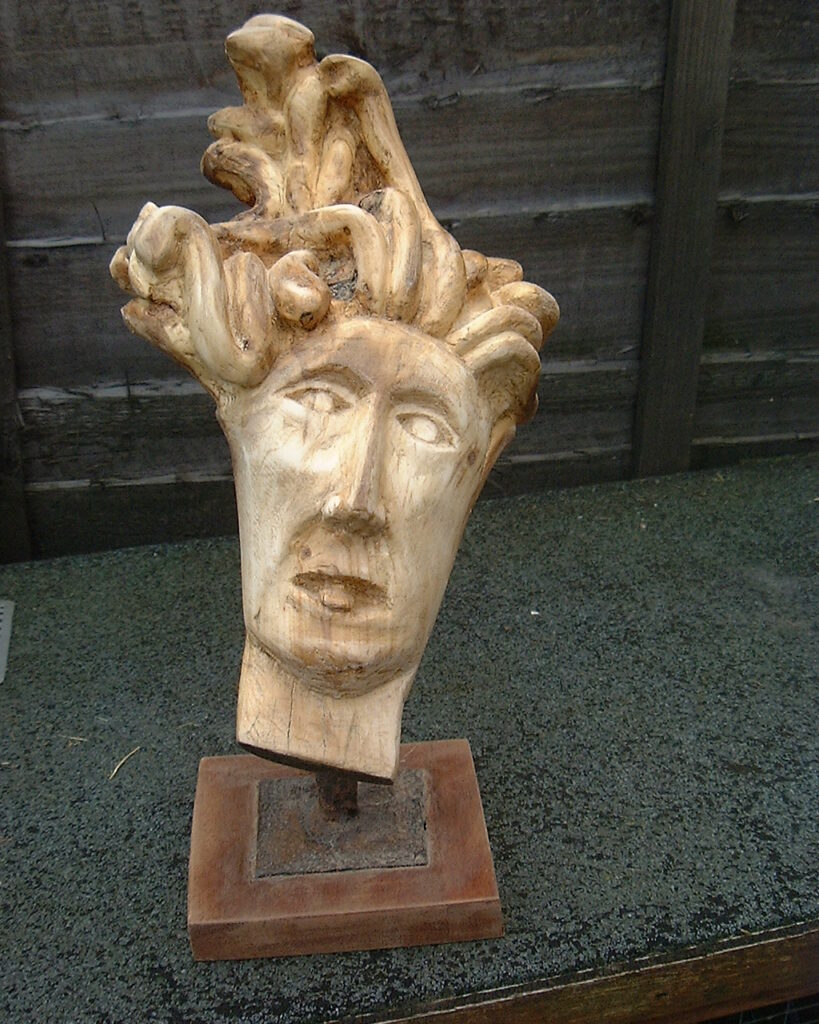 Medusa Surprised Material: Hawthorn Size: 25 x 17 x 19 (cm) Year 2006 Price: £280